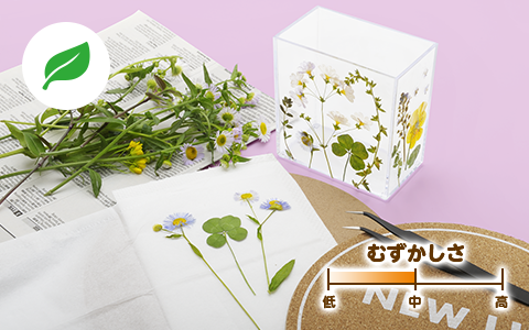 イキイキおし花