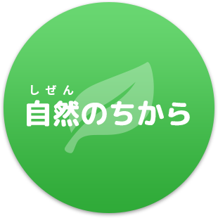 自然のちから